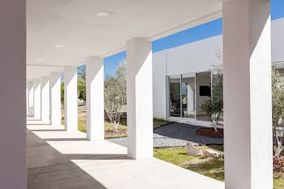 Camino de Olivos