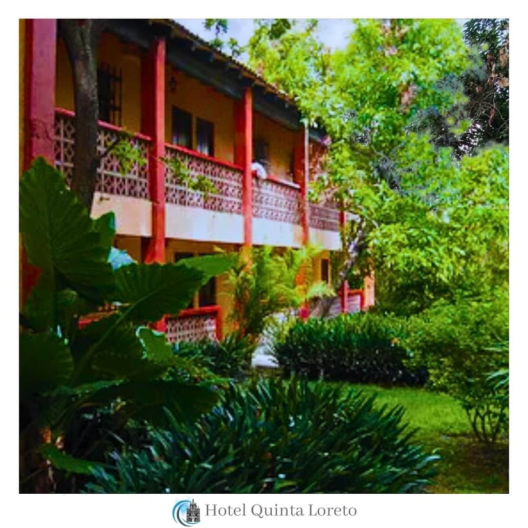 Hotel Quinta Loreto / Restaurante - photo 2
