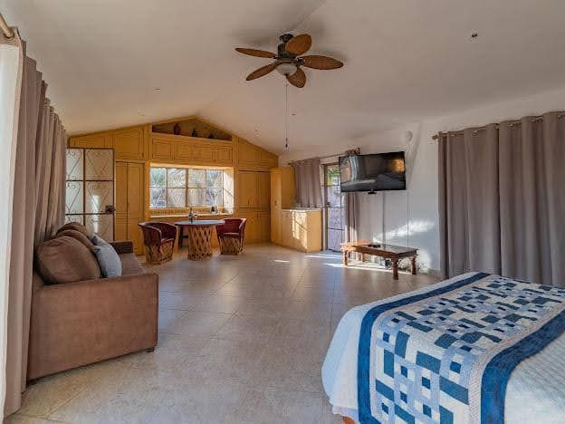 Casa Las Palmas, San Miguel De Allende - photo 4