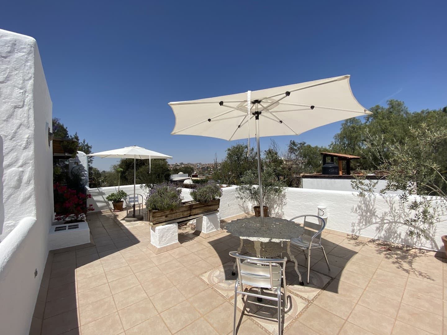Casa Árbol Hotel - photo 2