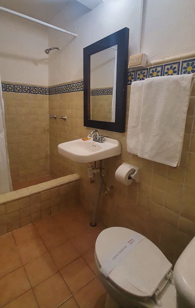 Hotel Allende - photo 4