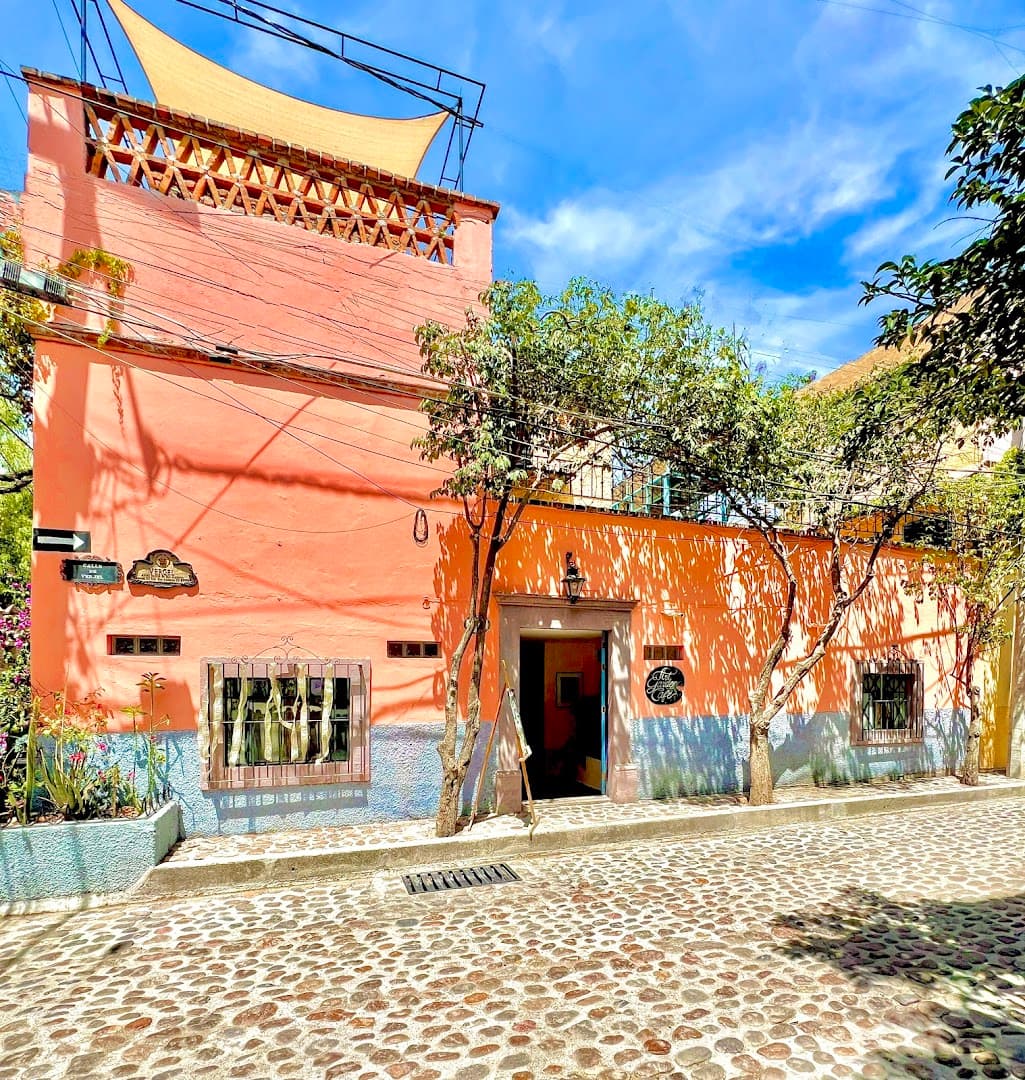 Boutique Hotel Casa Camellia - photo 2
